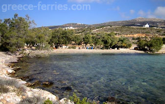 Agia Irini Strand Paros Eiland, Cycladen, Griekenland