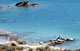 Monastiri Beach Paros Island Cyclades Greece